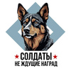 Пограничная собака в гости к читателям пришла!